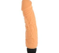Multi Speed Penis Vibrator