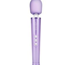 Le Wand Petite Rechargeable Vibrating Massager Violet