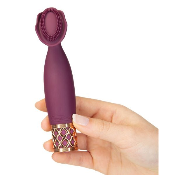 Pillow Talk Secrets Passion Mini Massager - Image 3